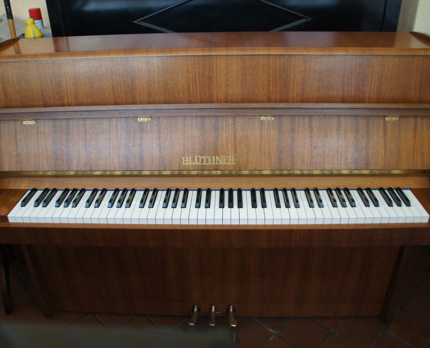 Blüthner-1a Klavier - Blüthner-1a