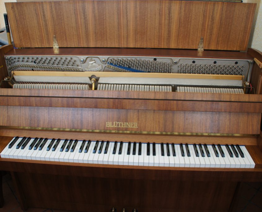 Blüthner-1c Klavier - Blüthner-1c