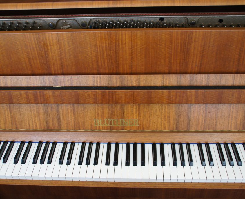 Blüthner-1d Klavier - Blüthner-1d